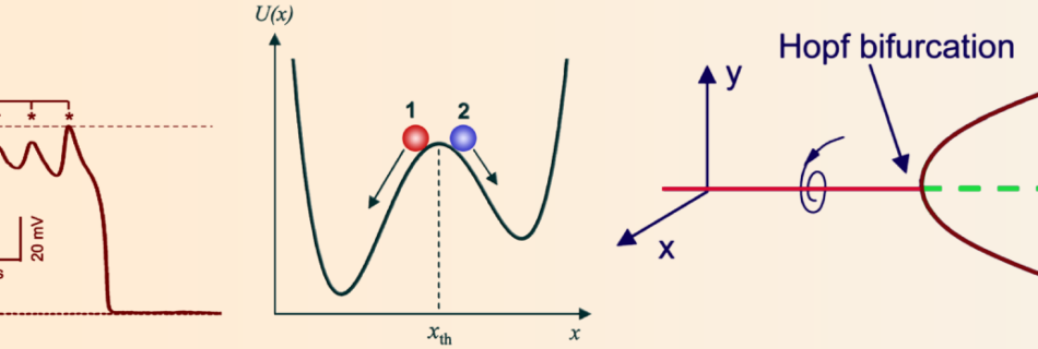 String Time Crystal &raquo; Heart Rhythms ~ Hopf Bifurcation in Cardiac Arrhythmias &raquo; trio